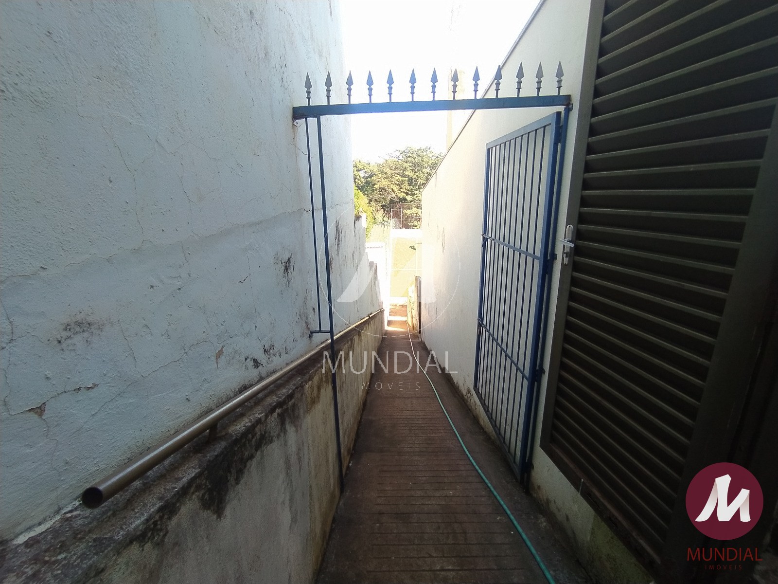 Quintal/corredores — foto 3