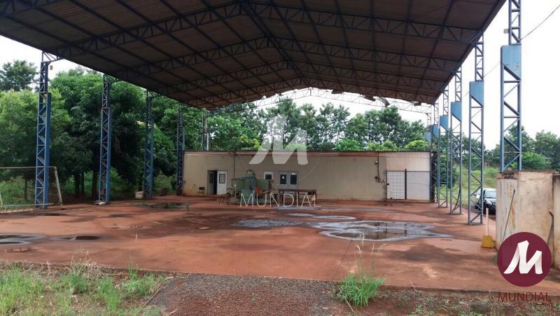 Salão — foto 12