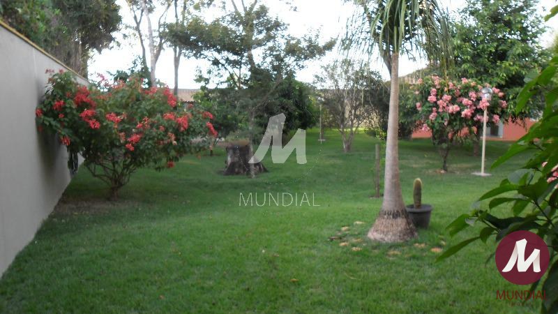 Quintal/corredores — foto 10