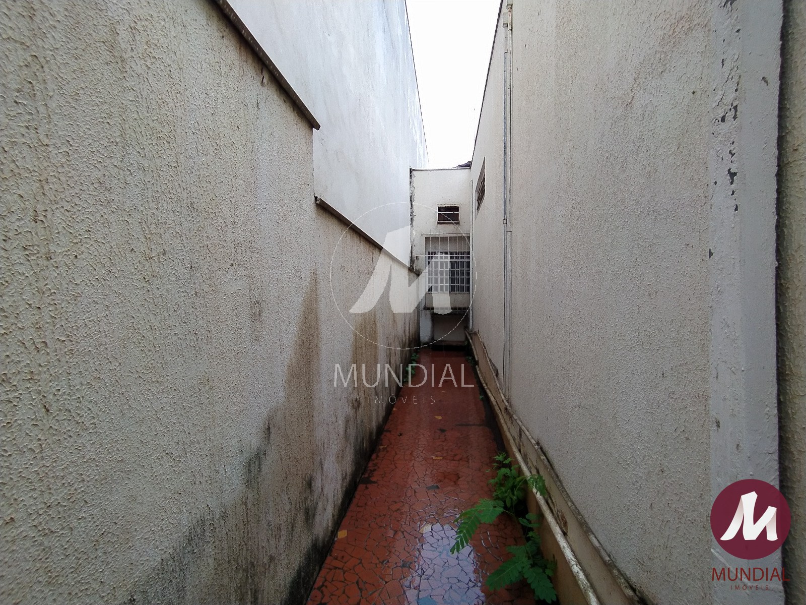 Quintal/corredores — foto 19