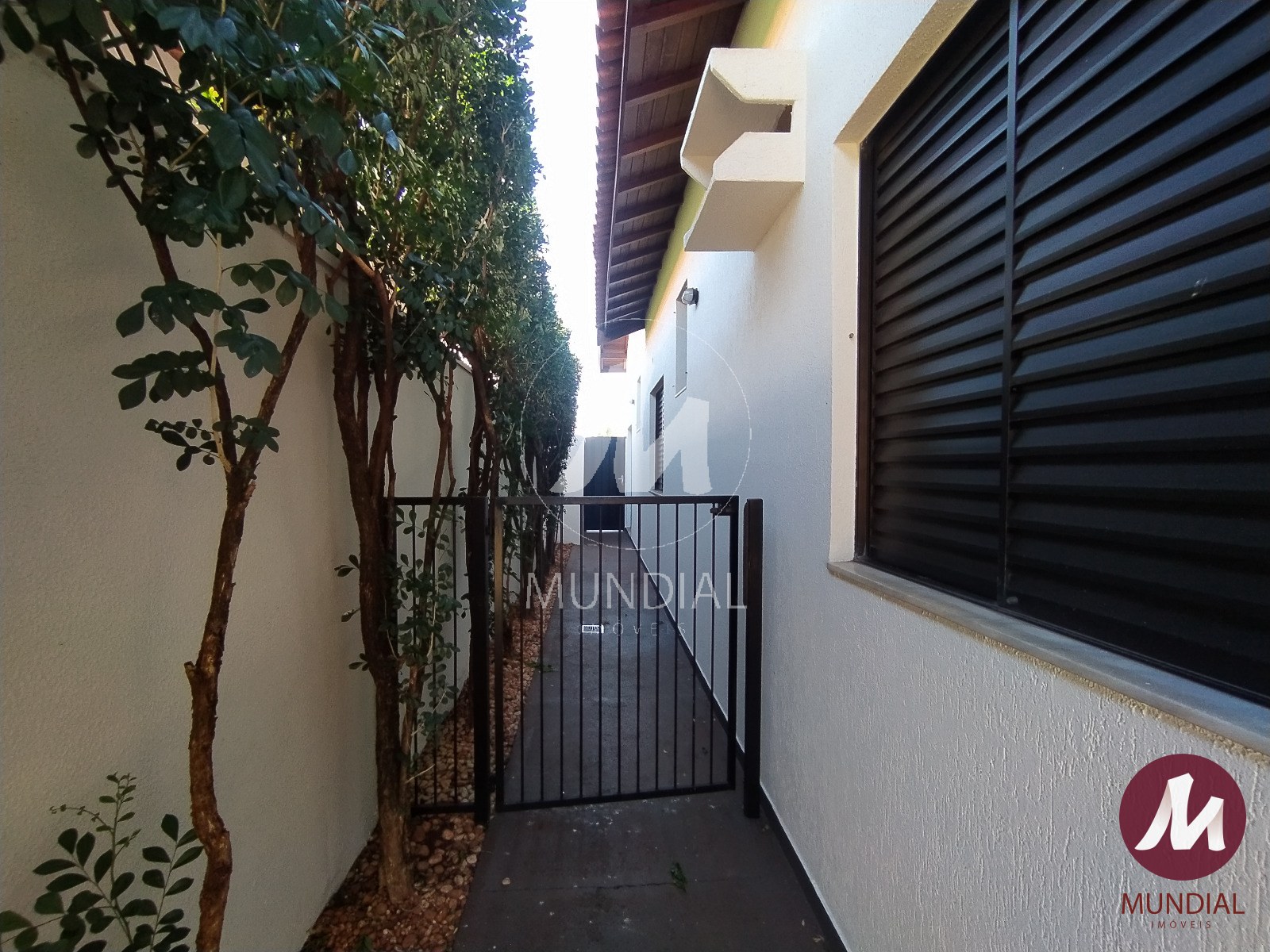 Quintal/corredores — foto 29