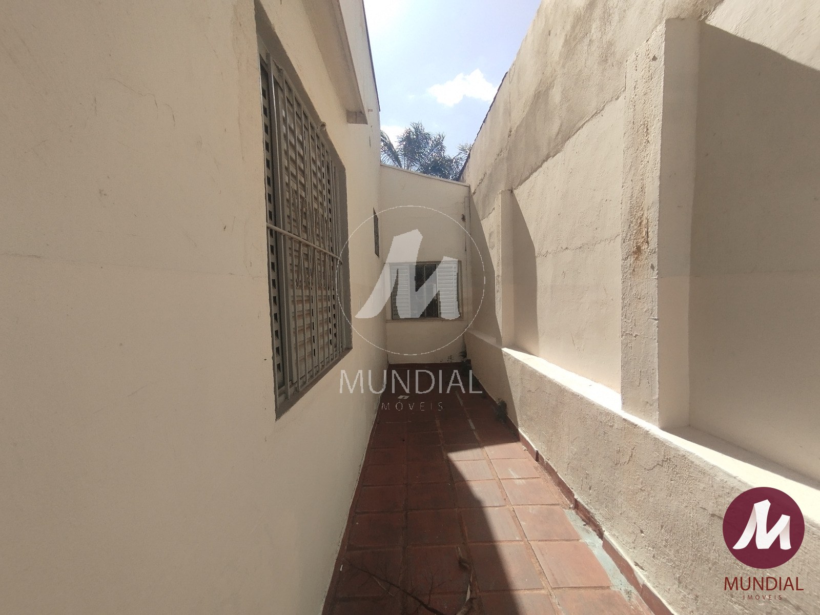 Quintal/corredores — foto 6