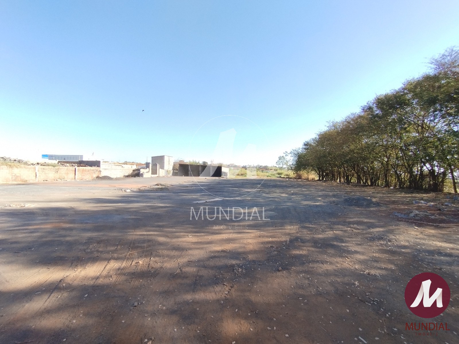 Terreno/Lote — foto 5