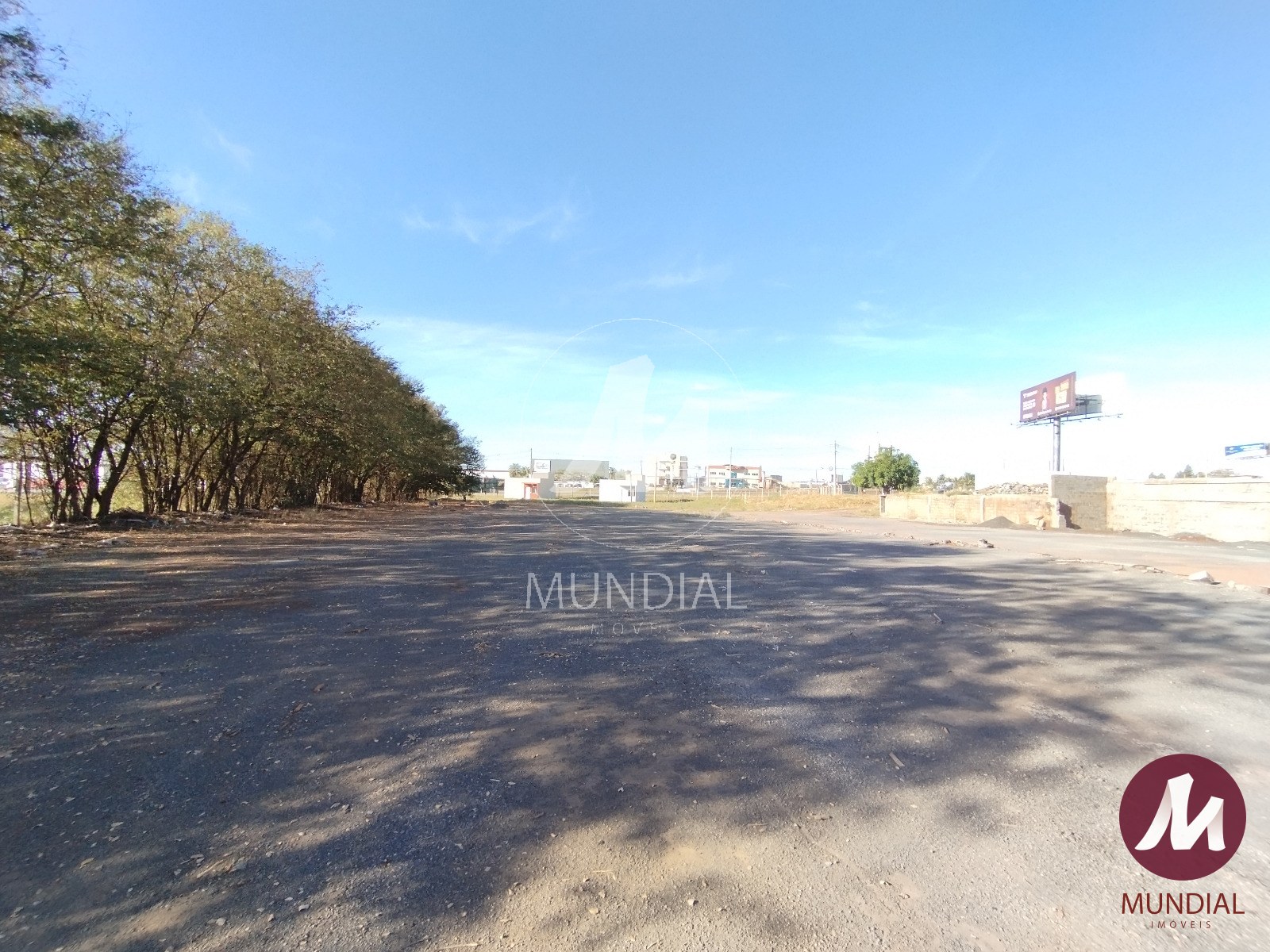 Terreno/Lote — foto 6