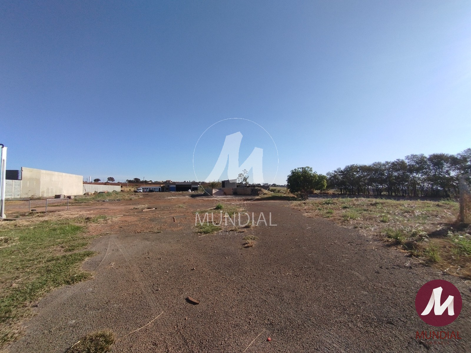 Terreno/Lote — foto 8