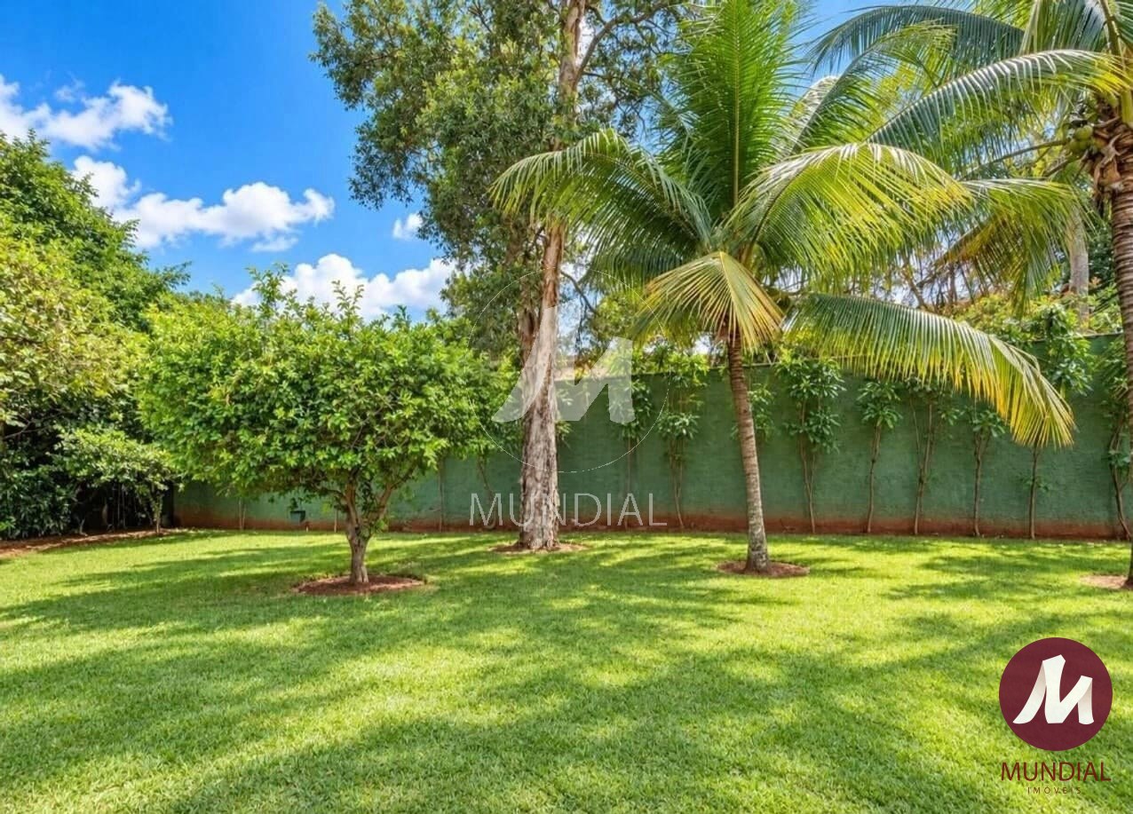 Jardim — foto 6