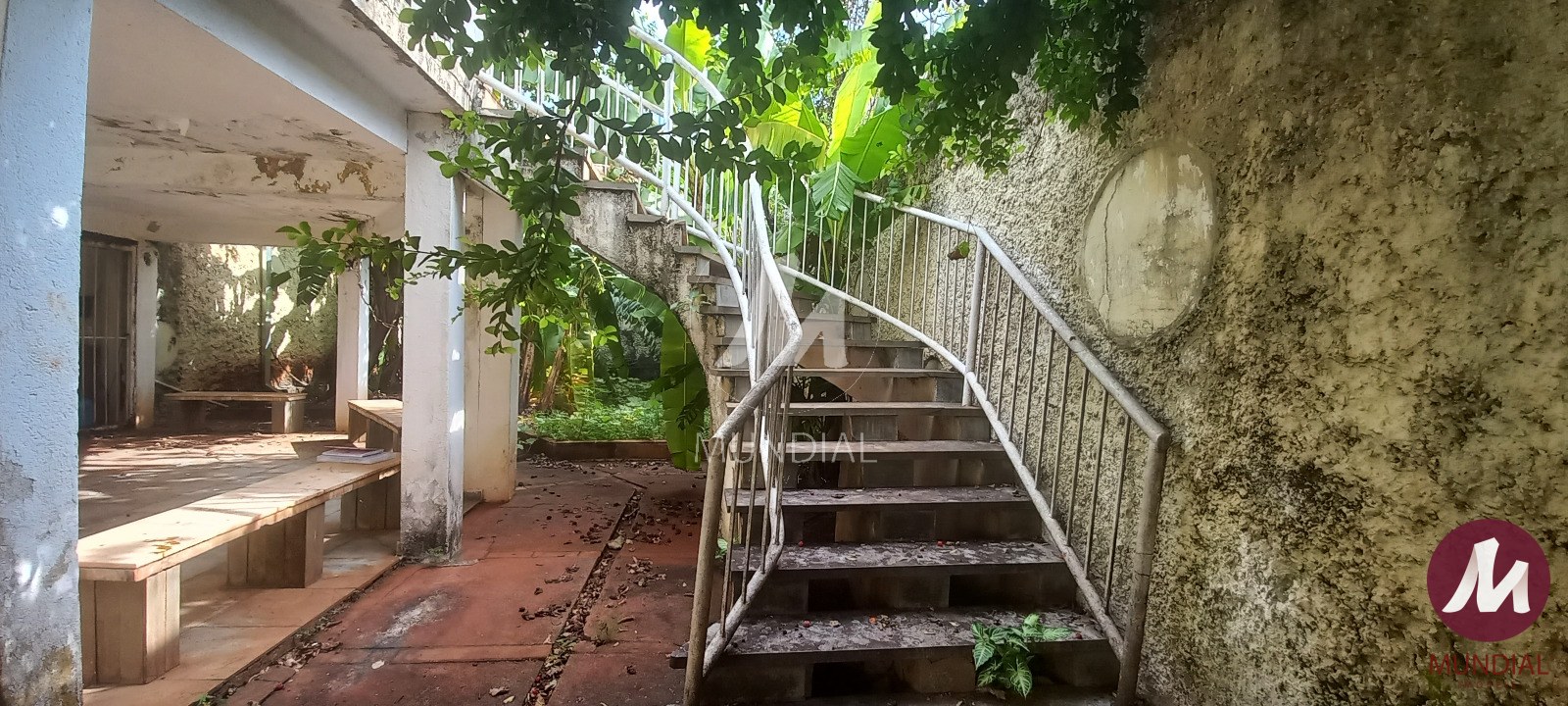 Quintal/corredores — foto 8