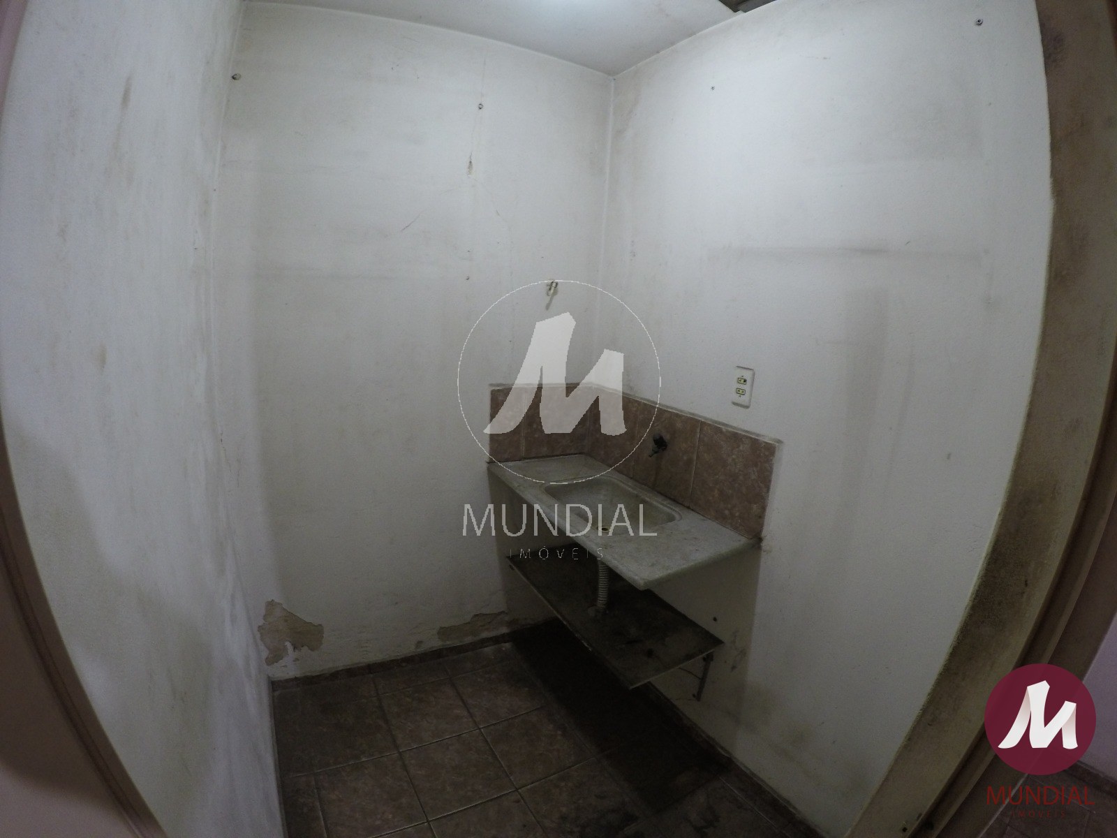 Copa — foto 10