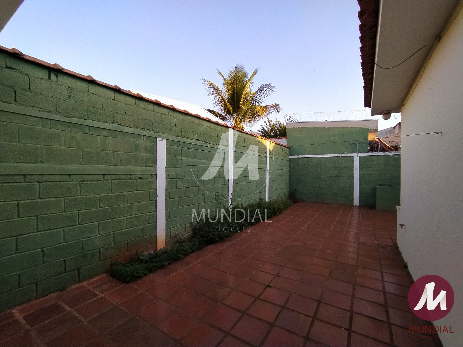 Quintal/corredores — foto 30