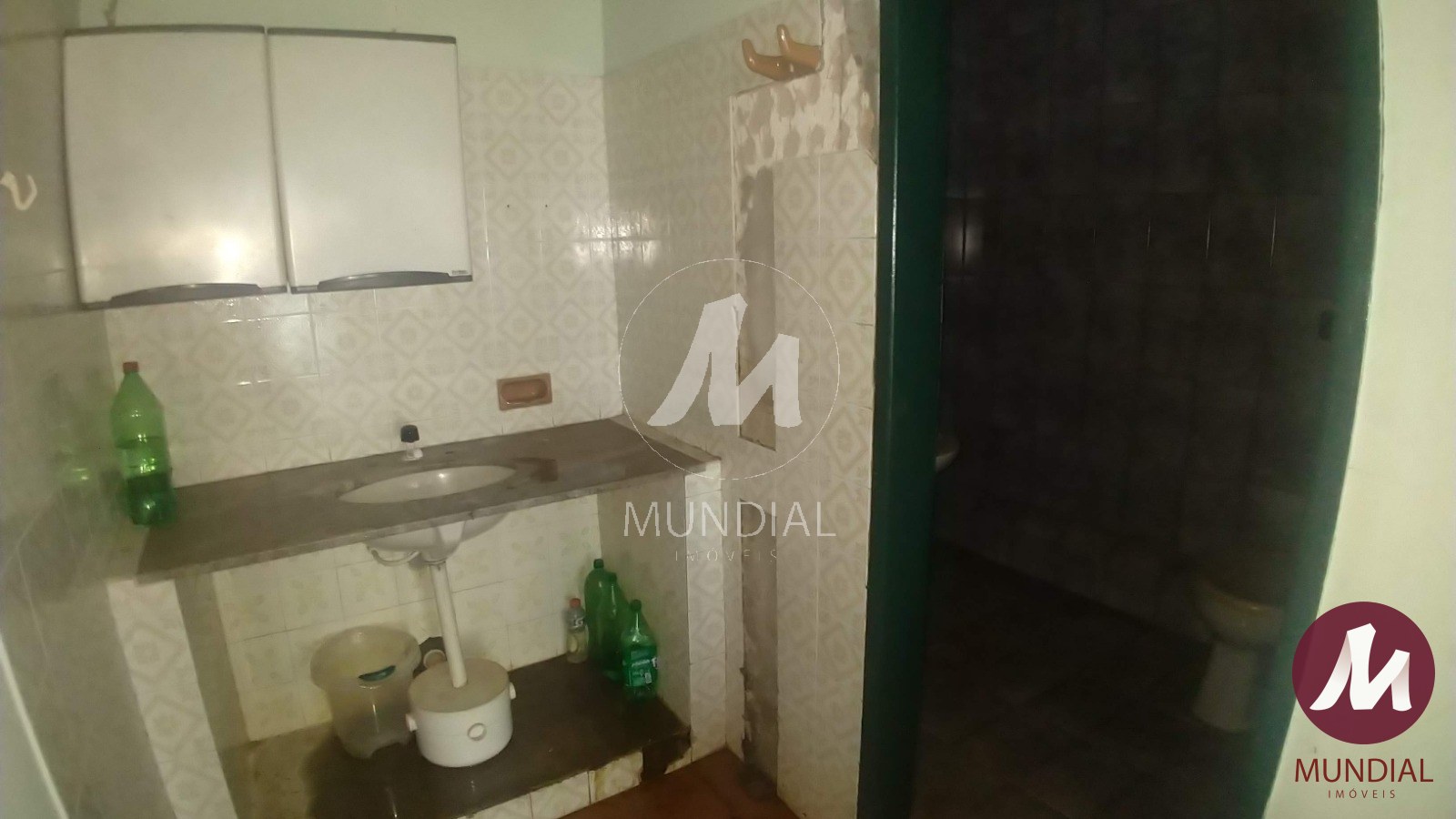 Copa — foto 11