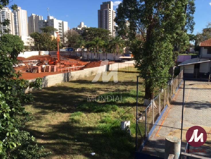 Jardim — foto 6