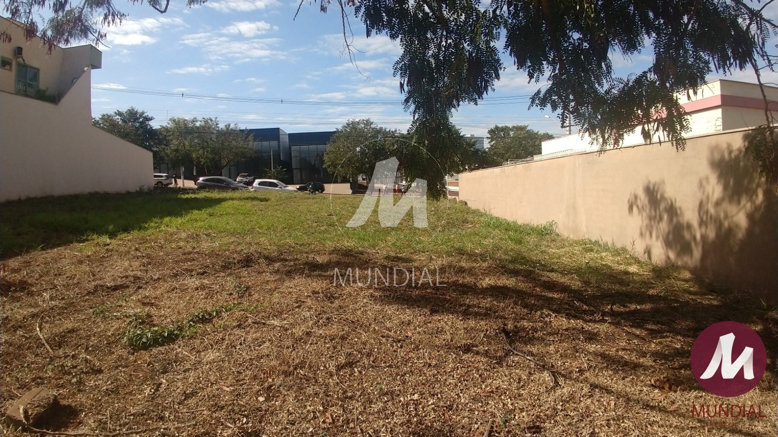 Terreno/Lote — foto 7