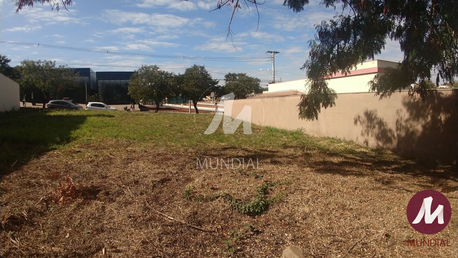 Terreno/Lote — foto 8