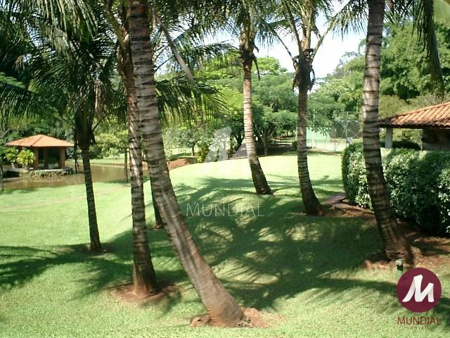 Jardim — foto 10