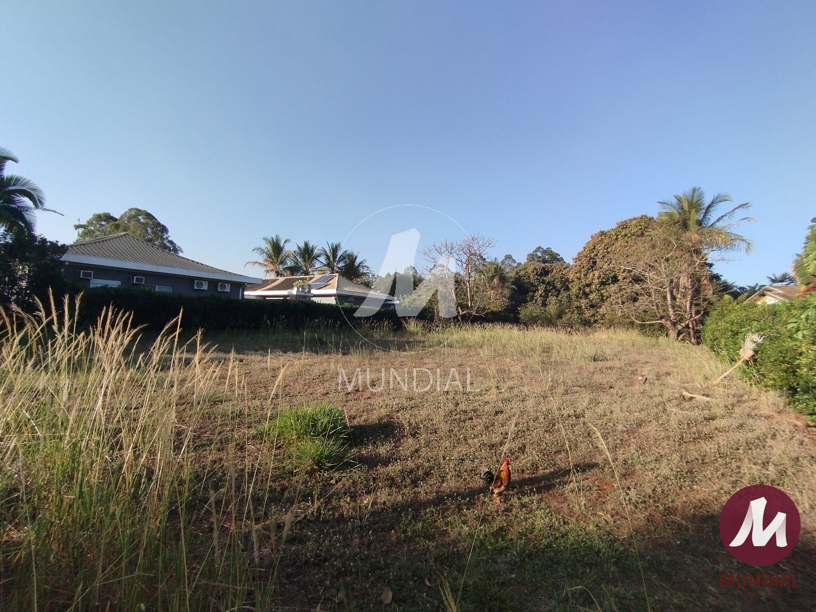 Terreno/Lote — foto 3