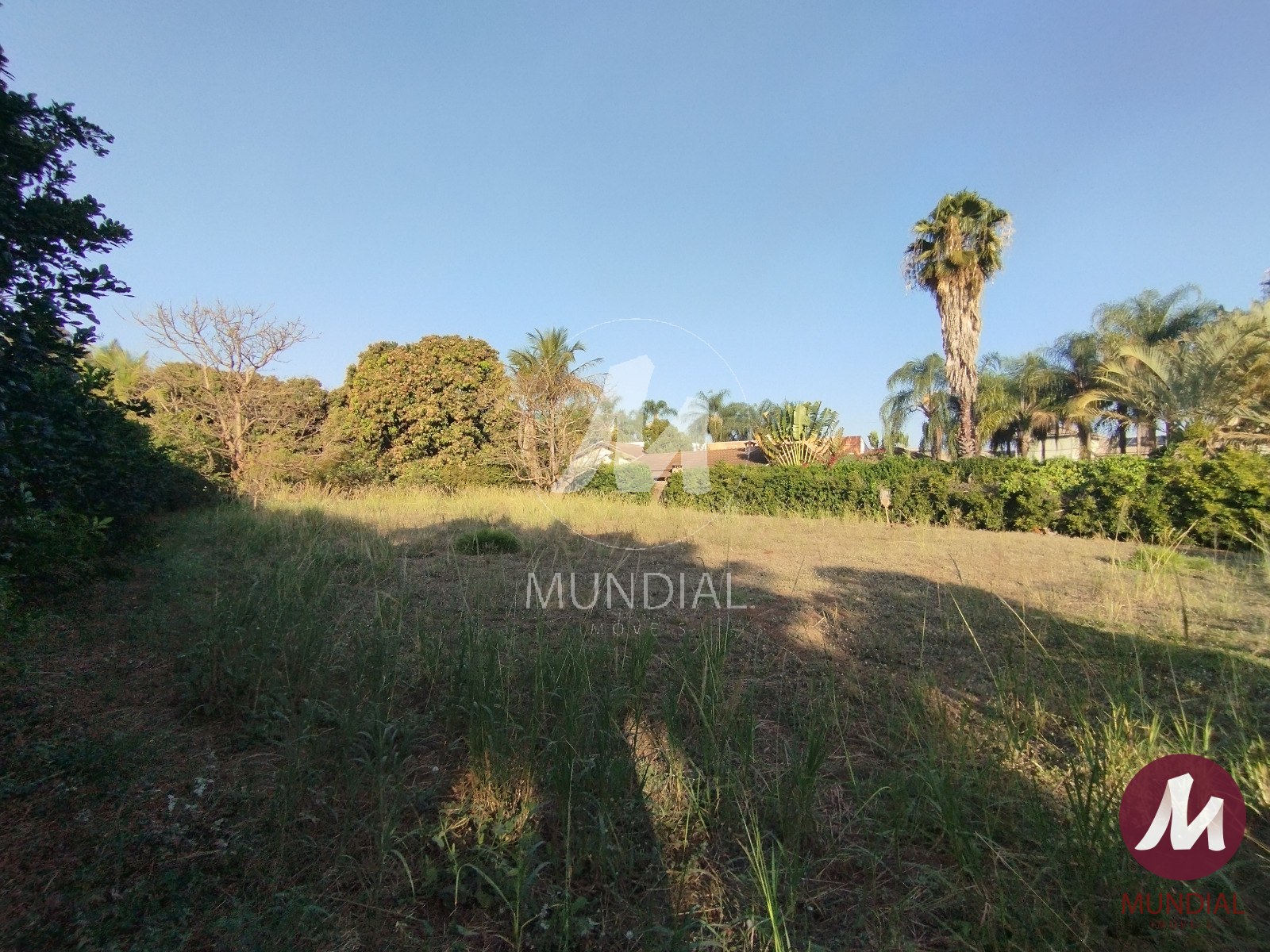Terreno/Lote — foto 4