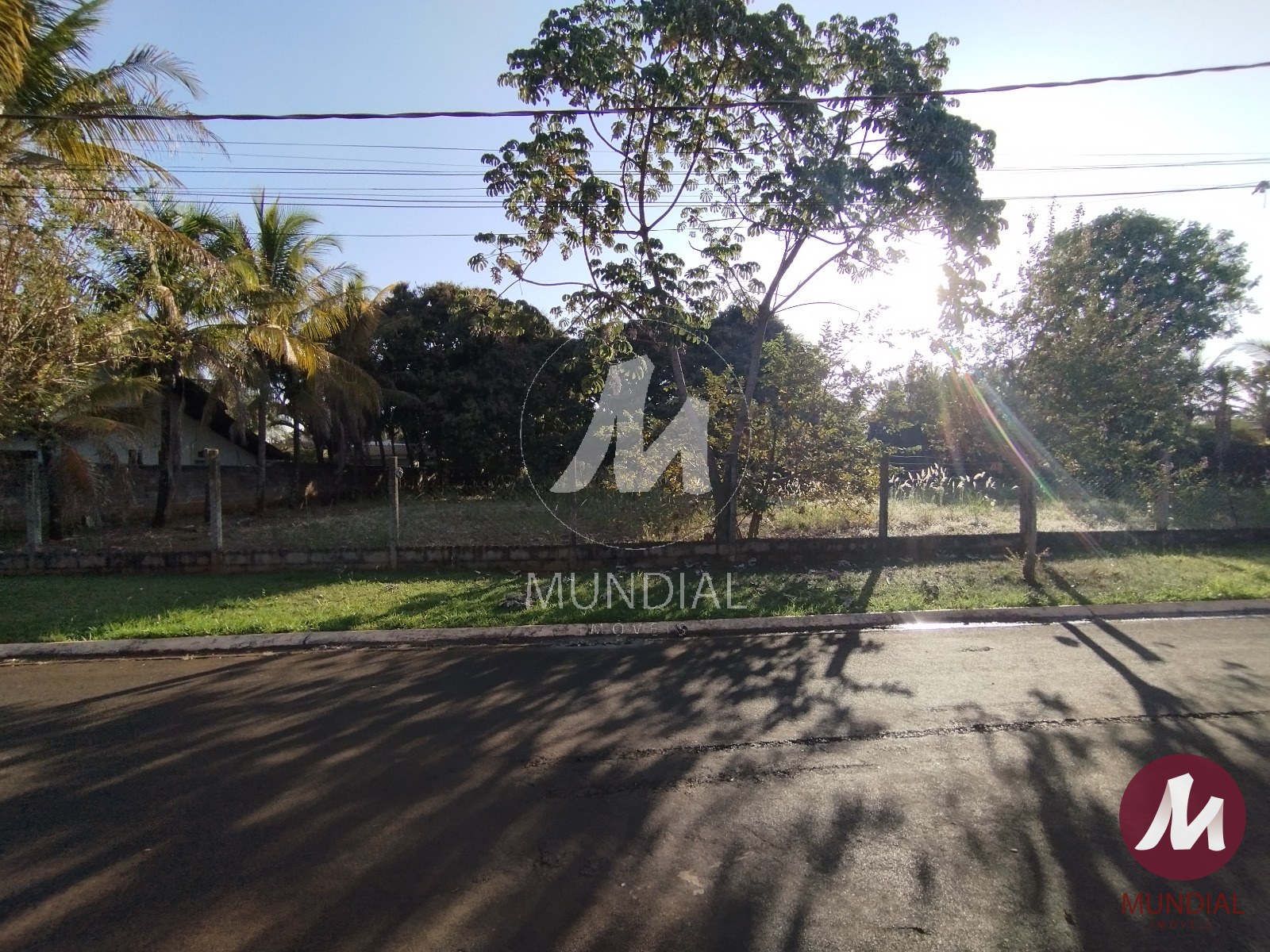 Terreno/Lote — foto 4