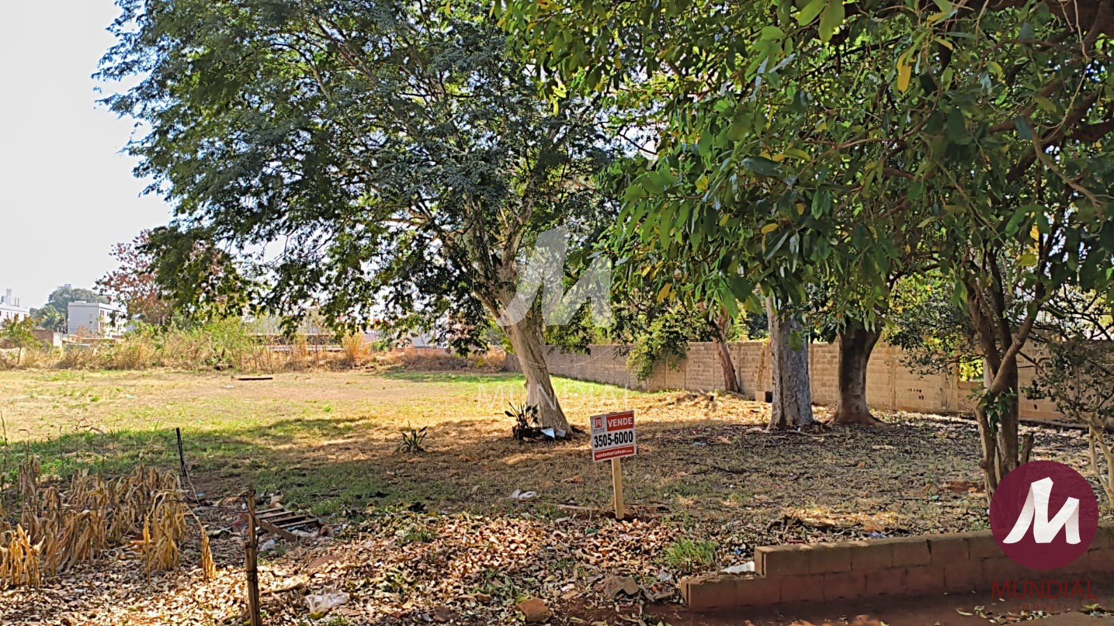Terreno/Lote — foto 1