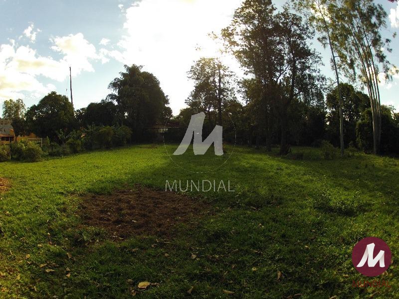 Terreno/Lote — foto 5