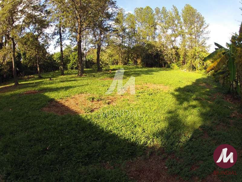 Terreno/Lote — foto 6