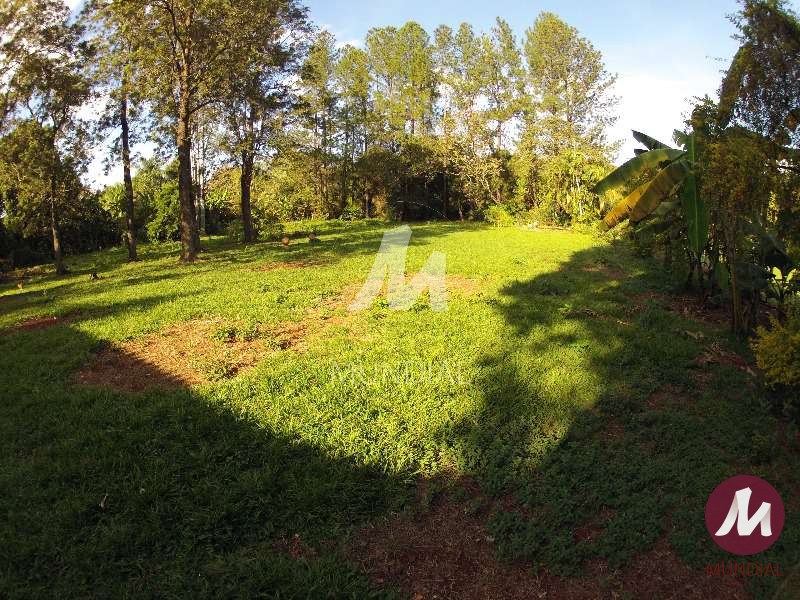 Terreno/Lote — foto 7