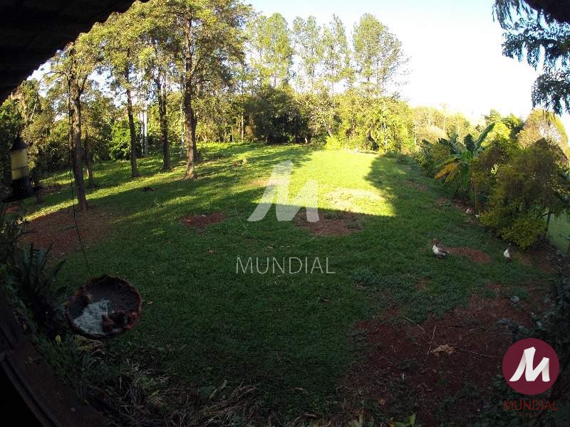 Terreno/Lote — foto 8