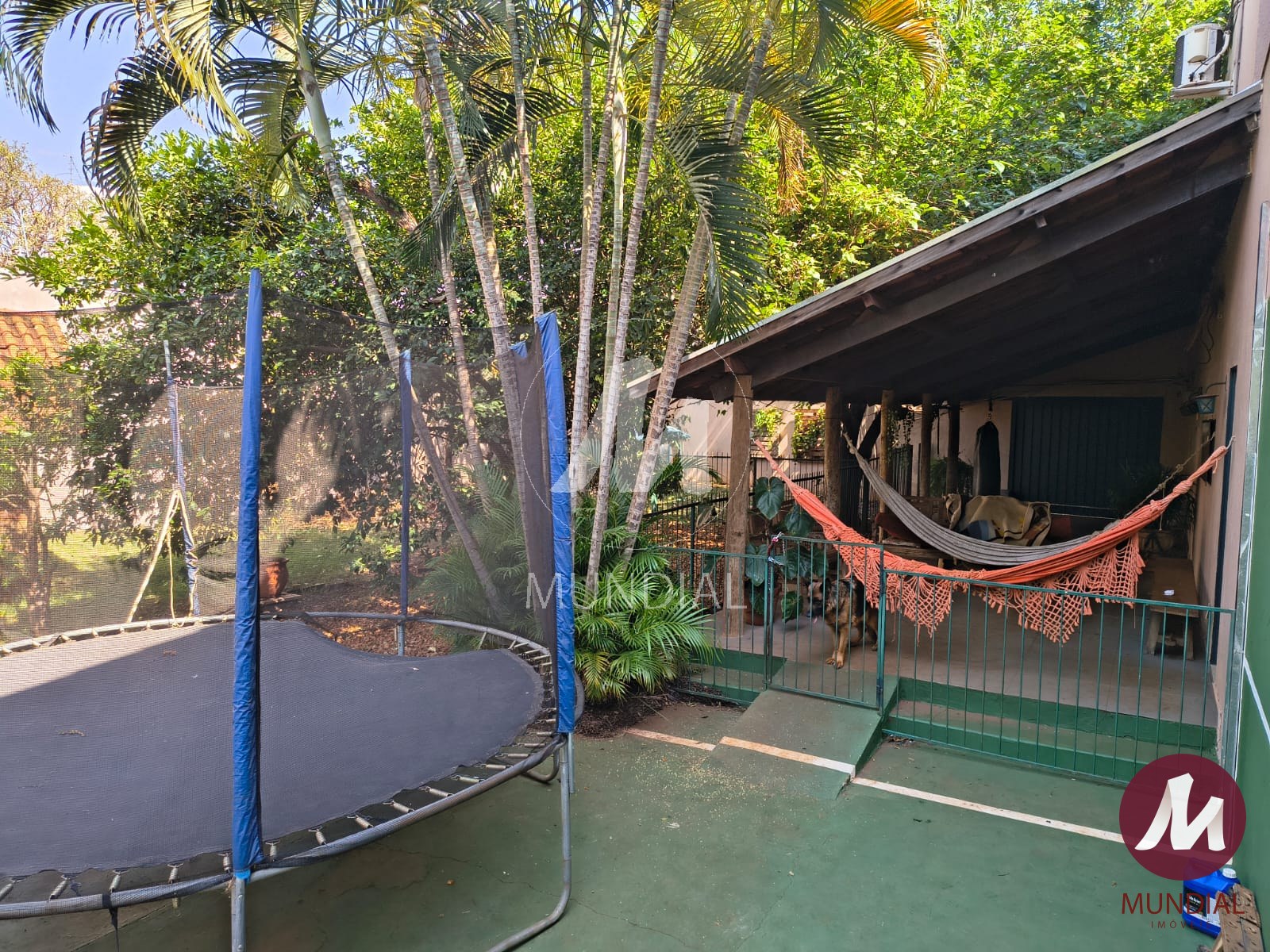 Jardim — foto 16