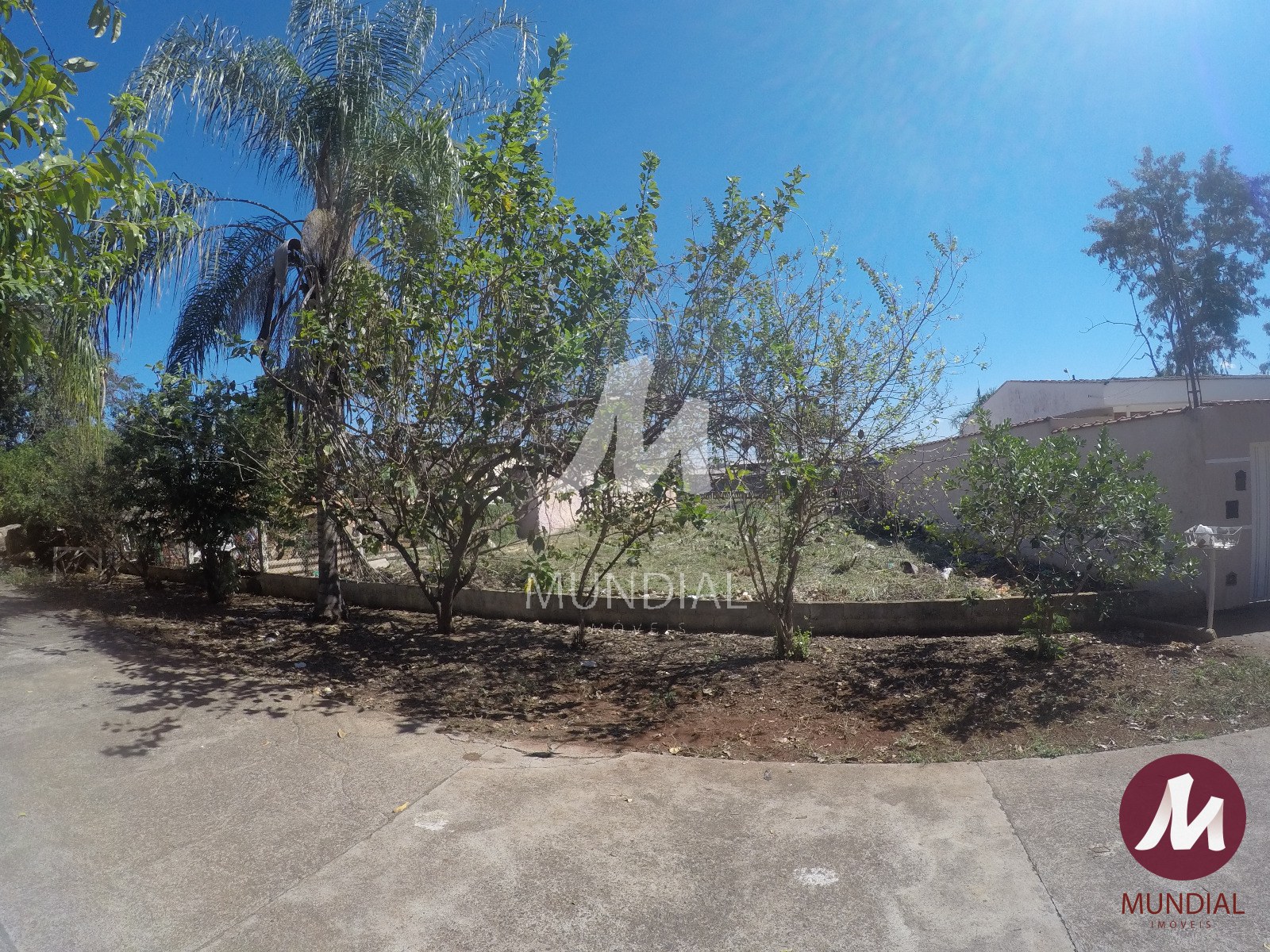 Terreno/Lote — foto 4