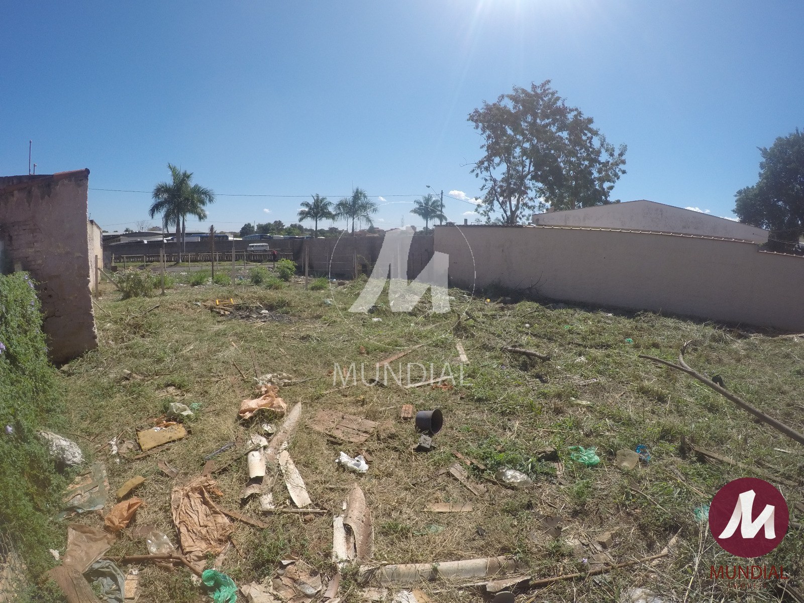 Terreno/Lote — foto 3