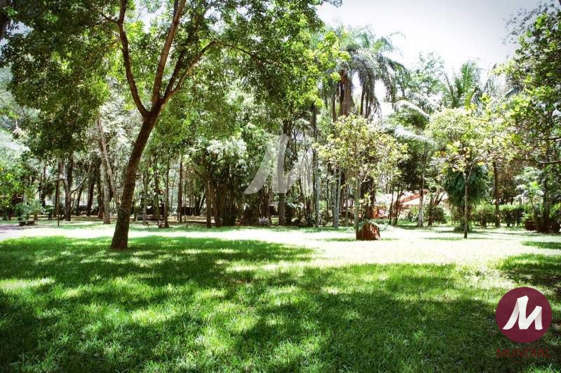 Jardim — foto 26