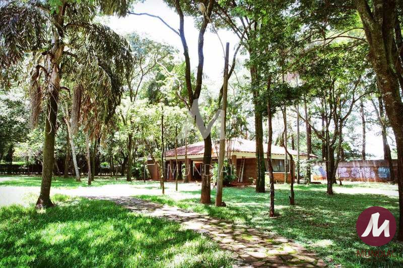 Jardim — foto 27