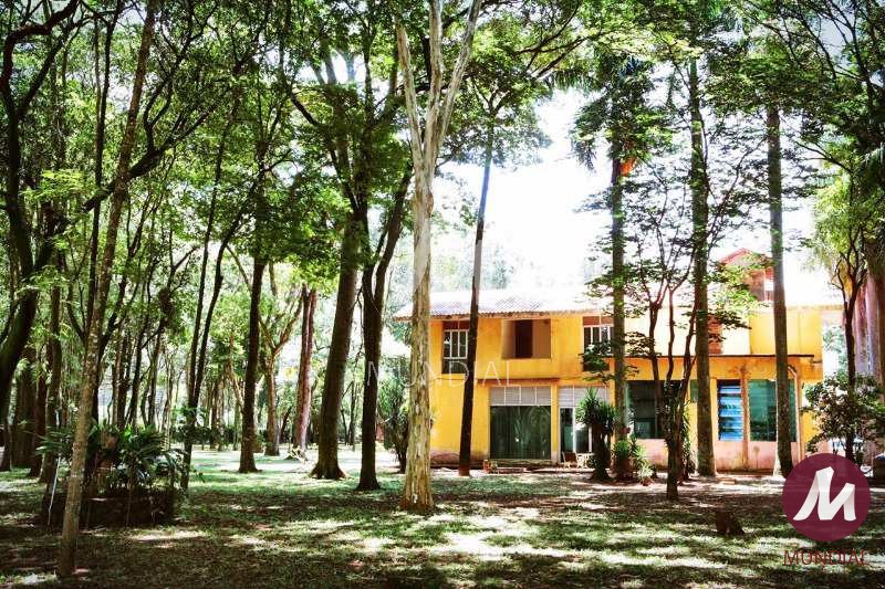 Jardim — foto 29