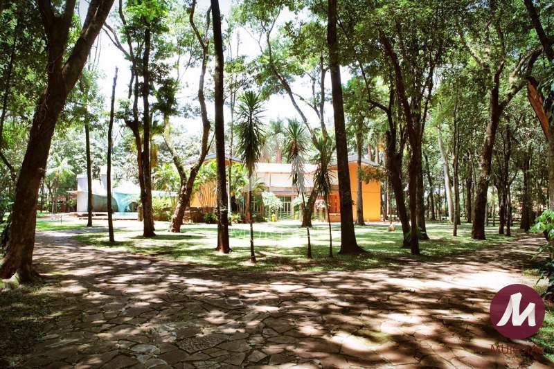 Jardim — foto 33