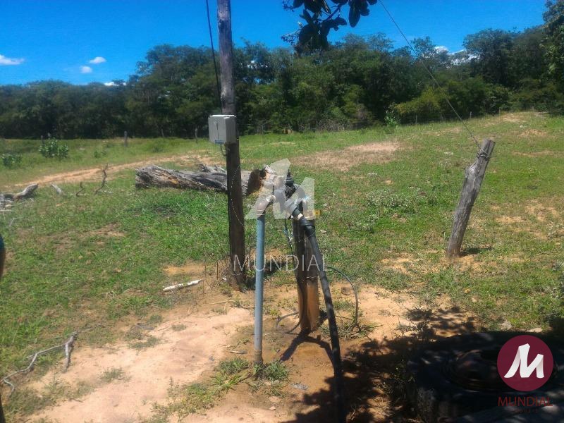 Outras — foto 4