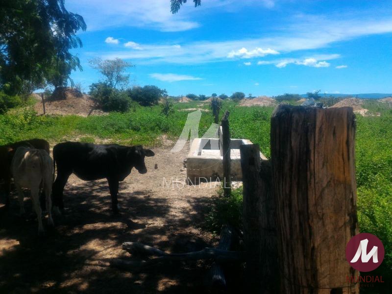 Outras — foto 14