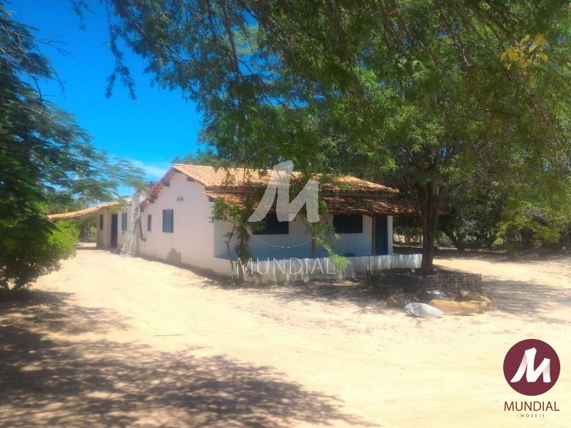 Outras — foto 22