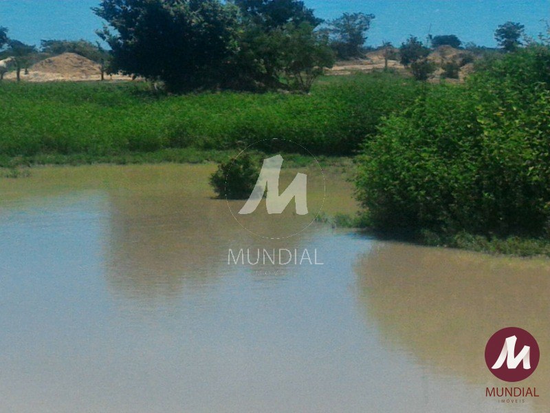 Outras — foto 24