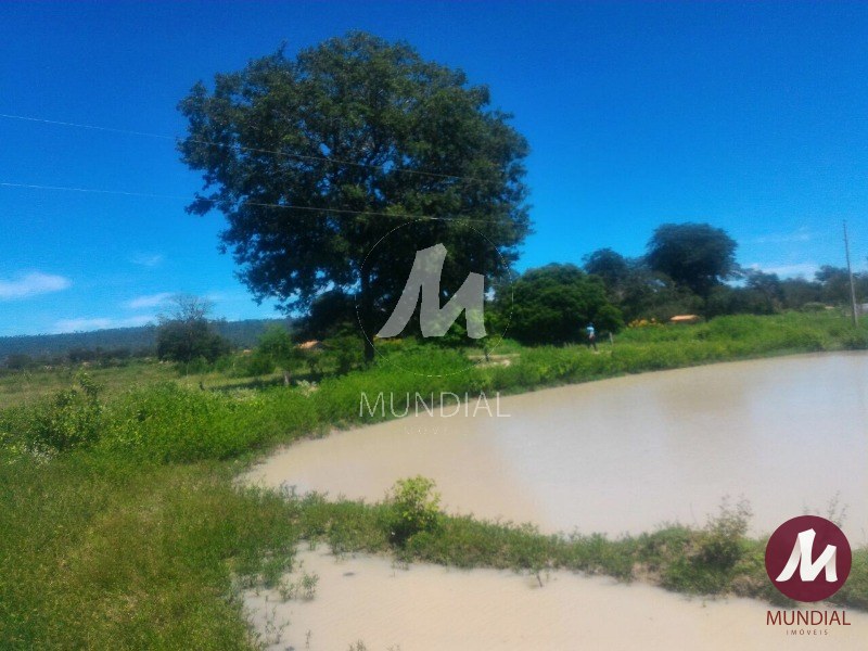Outras — foto 27