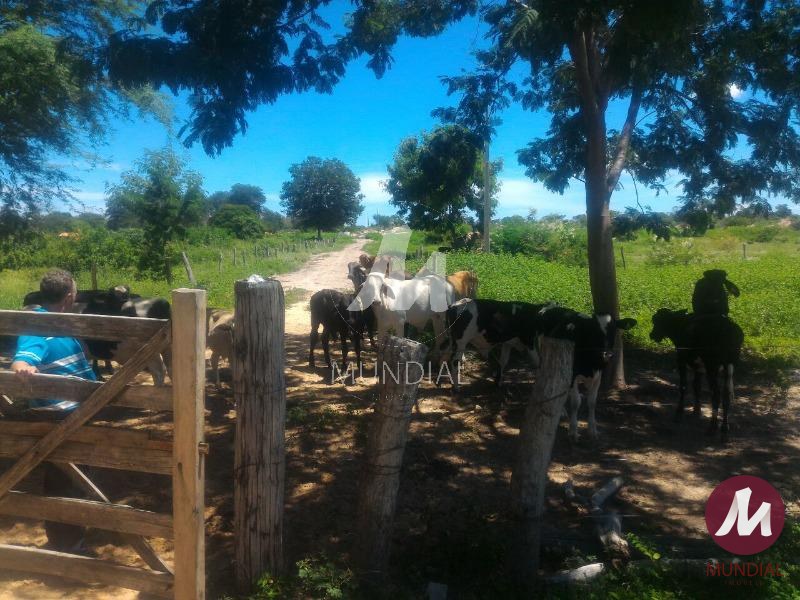 Outras — foto 28