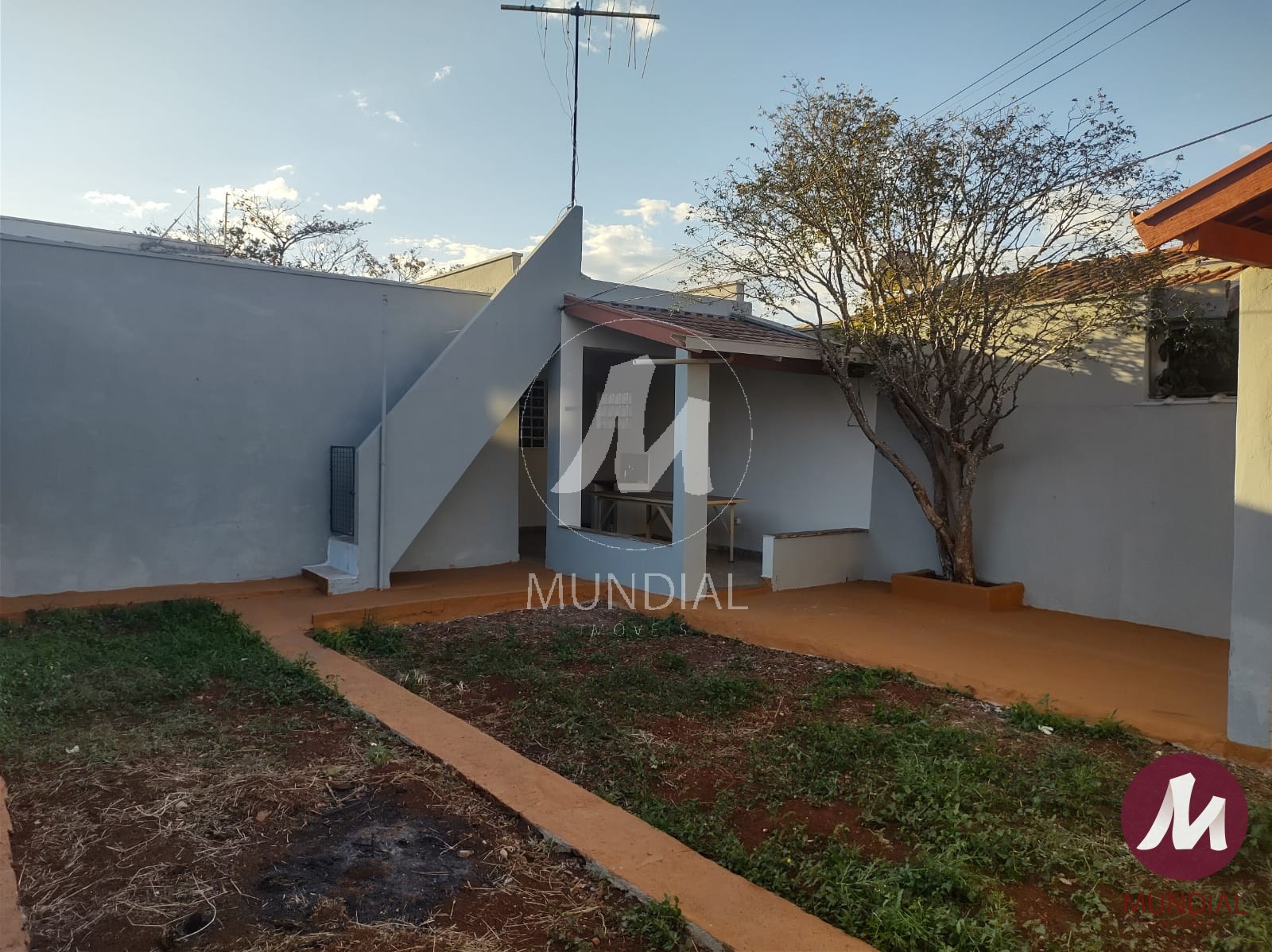 Quintal/corredores — foto 21