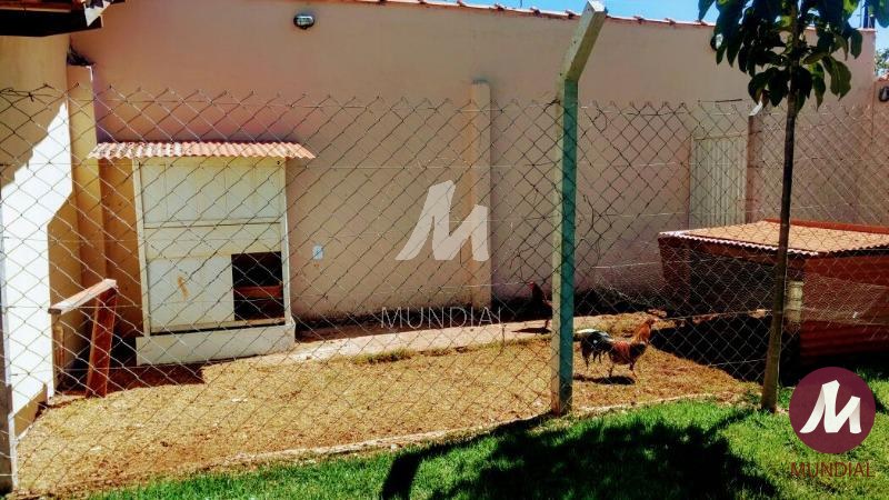 Quintal/corredores — foto 20