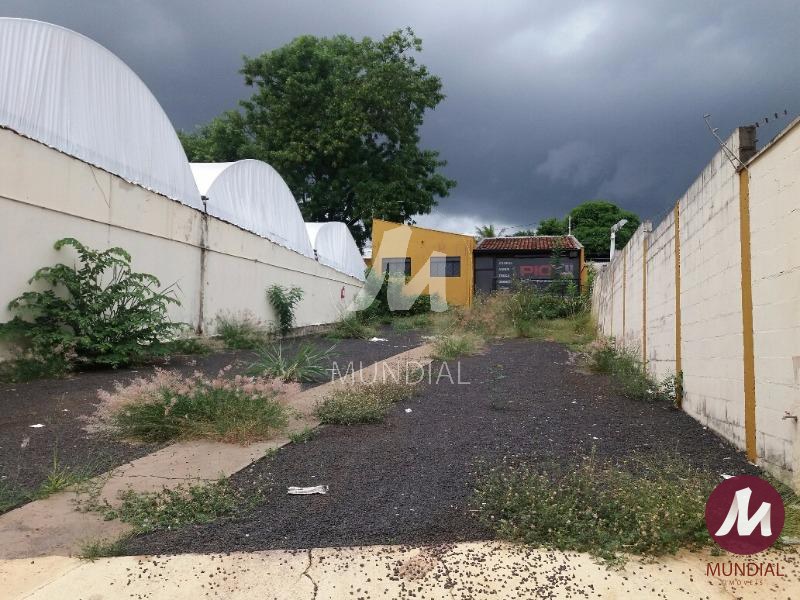 Terreno/Lote — foto 4