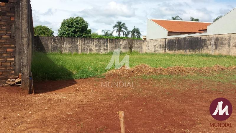 Terreno/Lote — foto 3