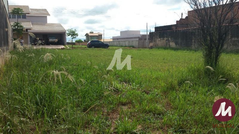 Terreno/Lote — foto 6