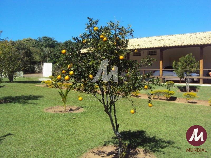 Jardim — foto 17