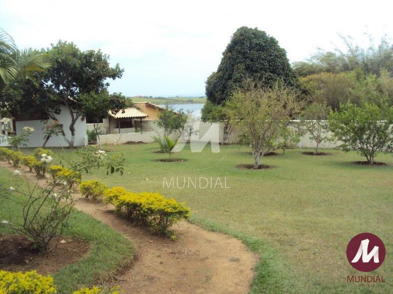 Jardim — foto 30