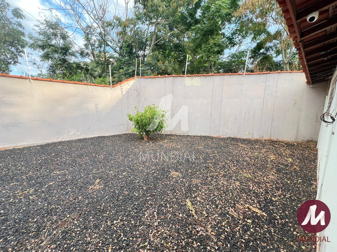 Quintal/corredores — foto 8