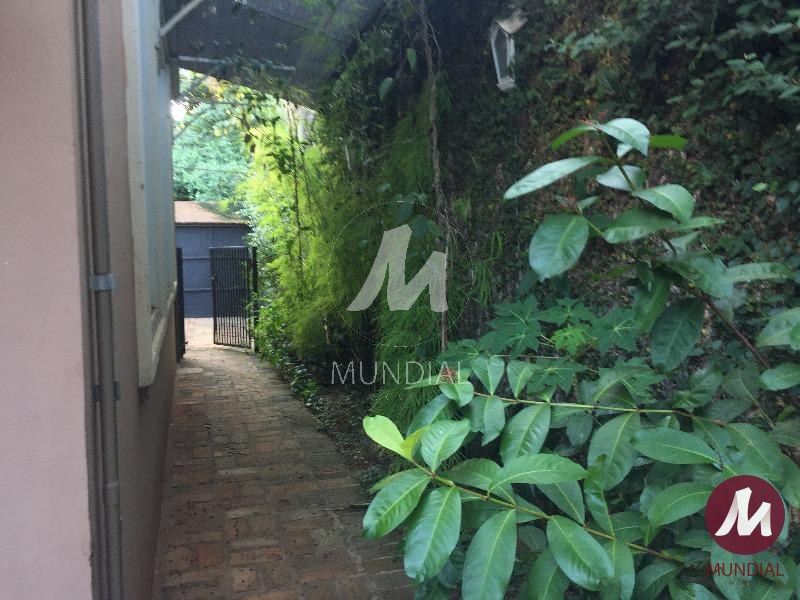 Quintal/corredores — foto 11