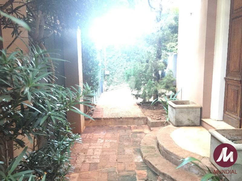 Quintal/corredores — foto 26
