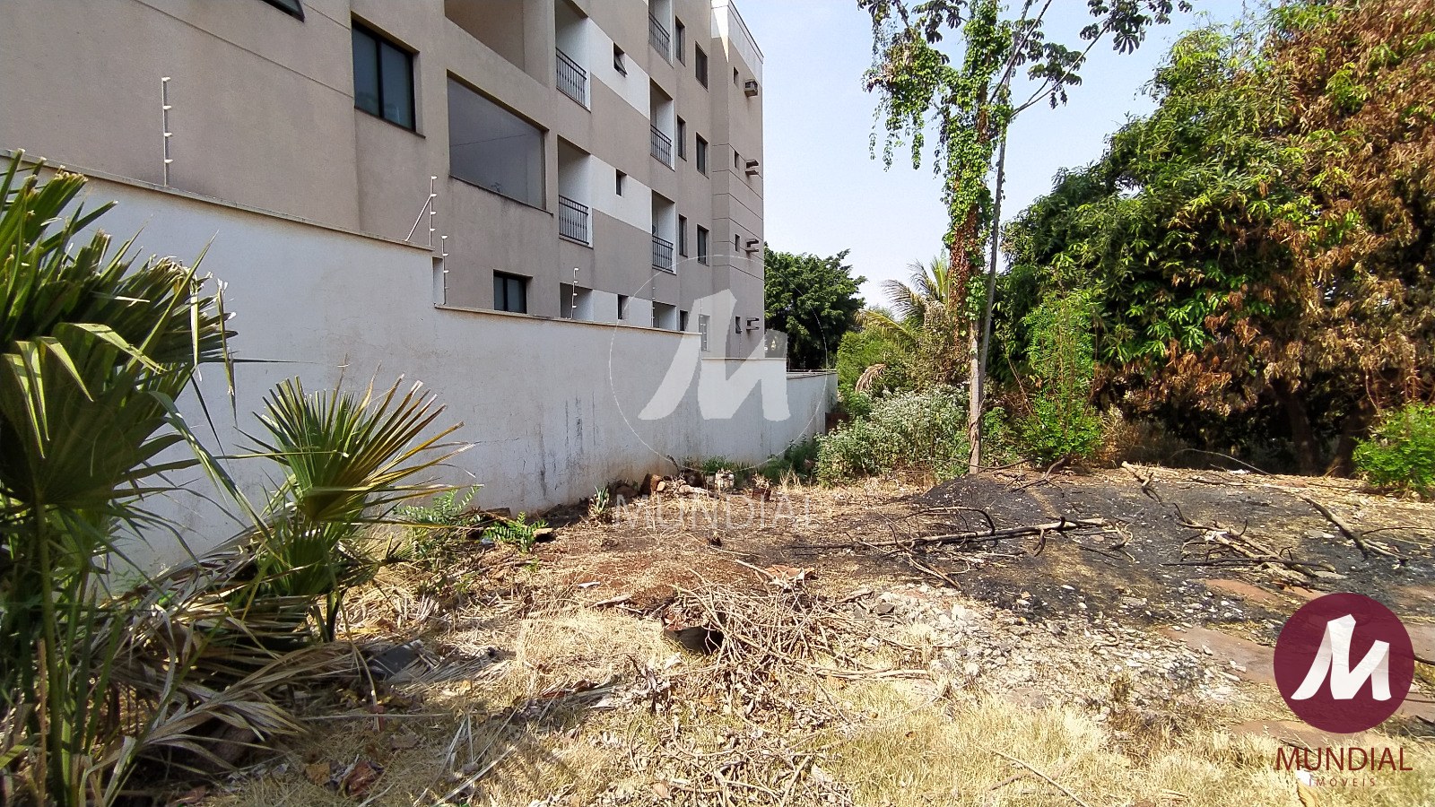 Terreno/Lote — foto 3